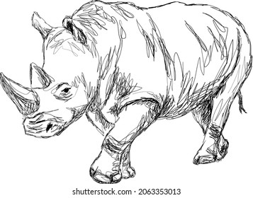 Rhino vector illustration, hand drawing, isolated on white background