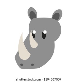 Rhino wild animal