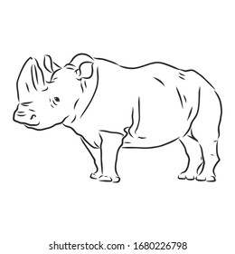 Rhino, wild animal, vector sketch illustration 