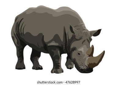 rhinoceros