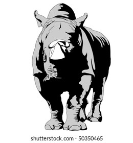 rhinoceros