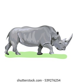 rhinoceros