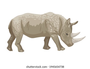 Rhinoceros, animal profile, weeping gray beast, rare endangered rhino. Animal of Africa and Asia. Vector character on white background, cartoon illustration