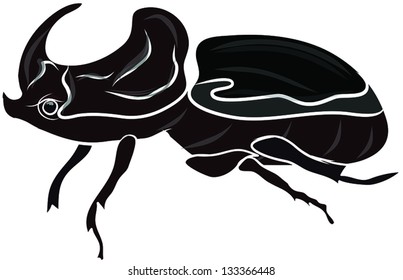 rhinoceros beetle