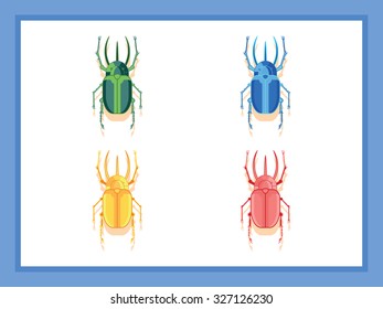 rhinoceros beetle 4 colors from above