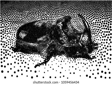Rhinoceros beetle in black and white dots vector illustration