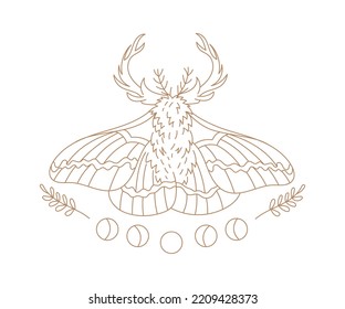Rhinoceros beetle boho lined illustration