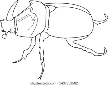 Rhinoceros beetle contour. Side view. Isolated on white background Vector graphics. Vector illustration. Copy space There is space for text. Background. Сoloring book