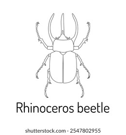 Escarabajo del rinoceronte. Ilustración para materiales educativos, páginas para colorear, proyectos científicos y estudios entomológicos. Ideal para contenido relacionado con la naturaleza, proyectos de biología e insectos.