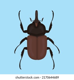 Rhinoceros beetle. Illustration, top view