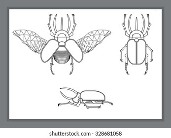 rhinoceros beetle lines