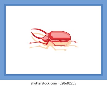 rhinoceros beetle red side-wise