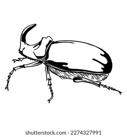 Rhinoceros beetle. Side view. Drawing with black lines, marker, line art. Vector illustration