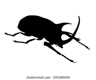 Rhinoceros beetle silhouette isolated on white background. Vector illustration