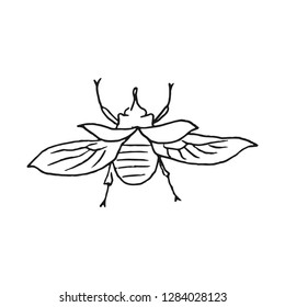 rhinoceros beetle vector doodle sketch isolated on white background