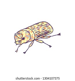 rhinoceros beetle vector doodle sketch isolated on white backgro