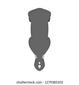 Rhinoceros big nature endangered shape vector icon top view. Animal Africa wildlife silhouette herbivore mammal