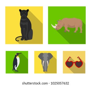 Rhinoceros, black panther wild cat, african elephant, imperial penguin. Wild animals set collection icons in flat style vector symbol stock illustration web.