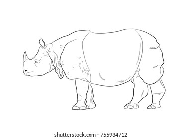 Rhinoceros Drawing Vector Illustration