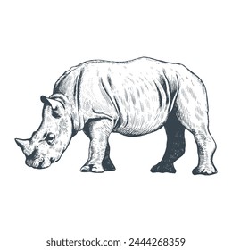 Rhinoceros hand drawing vector illustration. Rhinoceros animal sketch engraving. Little rhinoceros,  Baby rhino