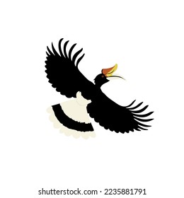 Rhinoceros hornbill, Buceros rhinoceros, Vektordesign