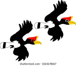 Rhinoceros Hornbill vector drawing.