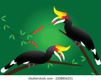 Rhinoceros hornbills illustration in green background eating wild berries while perching on tree branches