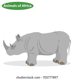 Rhinoceros, the icon of the rhinoceros, animals of Africa. Flat design, vector illustration, vector.