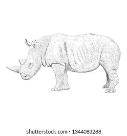 Rhinoceros illustration in solid design 