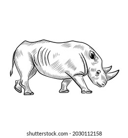 Rhinoceros isolated on white background. Sketch graphic animal with horn savannah in engraving style. Design retro black and white drawing. Vector illustration.