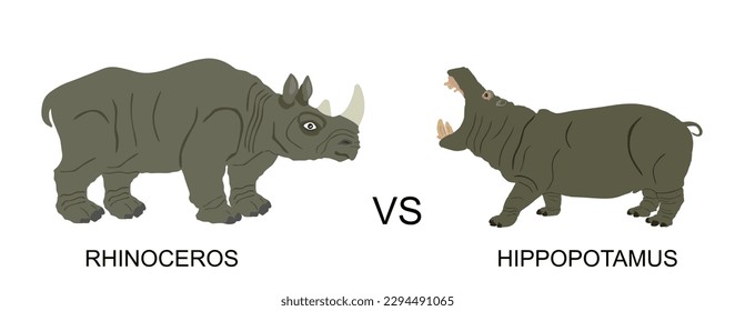 Rhinoceros male against hippopotamus vector illustration isolated on white. African animal poacher alert. Safari attraction. Strong heavy opponent battle on watering place rhino vs hippo angry beast.