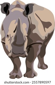 Rhinoceros Mammal Wild Animal Vector