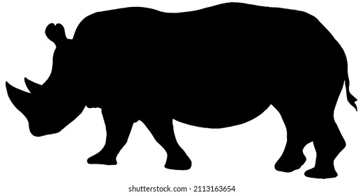 Rhinoceros Profile Silhouette In Black On White Background 