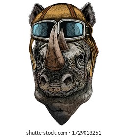 Rhinoceros, rhino portrait. Head of wild animal. Vintage aviator helmet with googles.