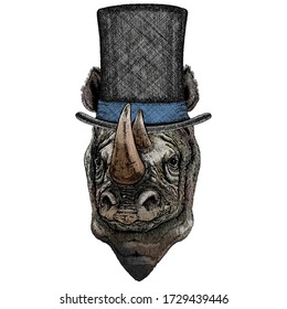 Rhinoceros, rhino portrait. Head of wild animal. Cylinder hat.