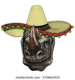 Rhinoceros, rhino portrait. Sombrero mexican hat. Head of wild animal.