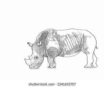 rhinoceros, shadowed by lines, line art