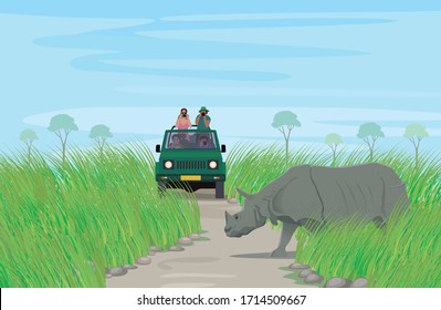 Rhinoceros sighting during Wildlife Safari in a National Park