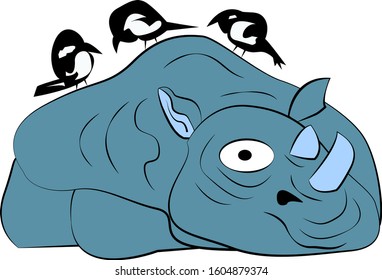 rhinoceros sitting with three birds