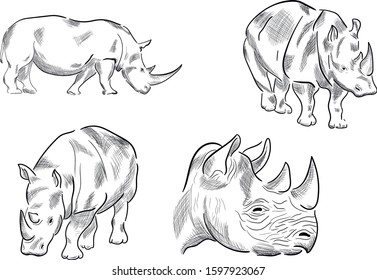 rhinoceros , sketch, african, animals set of vector isolated illustration on white background 