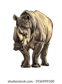 Rhinoceros from a splash of watercolor, colored drawing, realistic. Vector illustration of paints