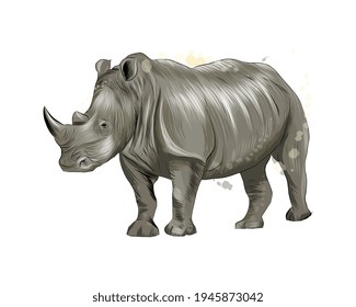 Rhinoceros from a splash of watercolor, colored drawing, realistic. Vector illustration of paints