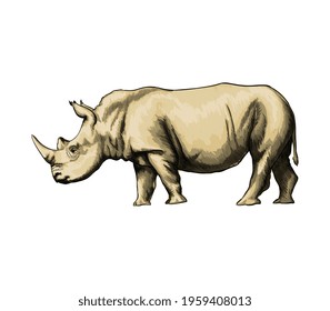 Rhinoceros from a splash of watercolor, colored drawing, realistic. Vector illustration of paints