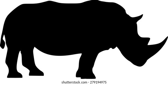 Rhinoceros Standing