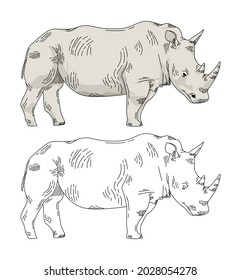 Rhinoceros vector art with elegant style. The African animal