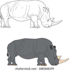 Rhinoceros vector drawing animal vector drawing, cartoon vector, line art and color