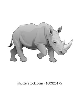 Rhinoceros. Vector isolated animal.