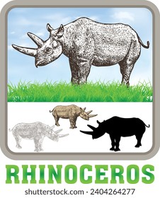 Rinocerontes. Animales aislados por vectores. Arte