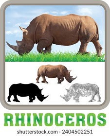 Rhinoceros Vector aislado de arte animal