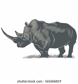 Rhinoceros walking in the grass, illustration, vector